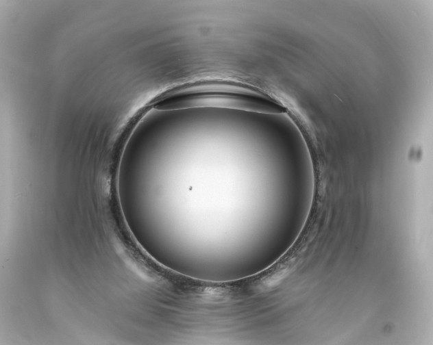 X0000094180060200711021014