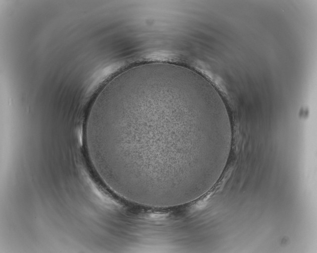 X0000094180062200711021015