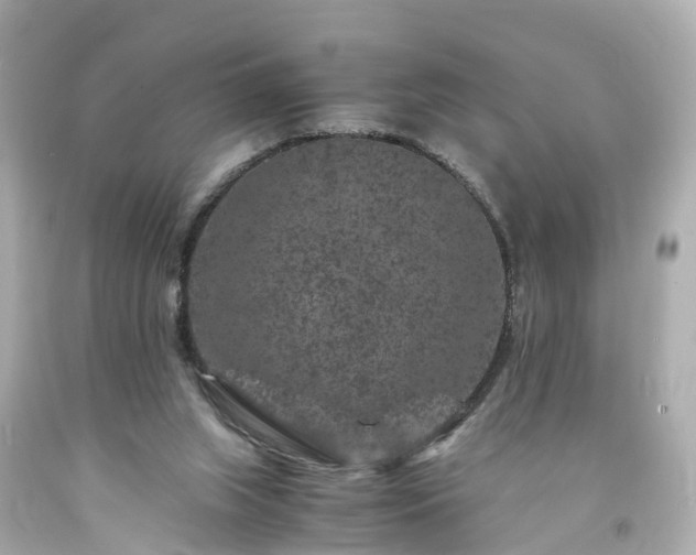 X0000094180063200711021015