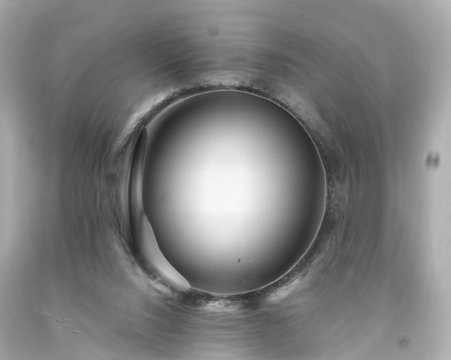 X0000094180064200711021015
