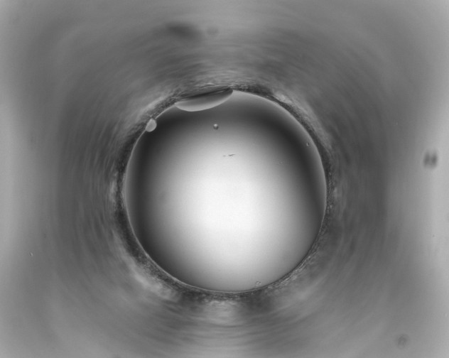 X0000094180066200711021015