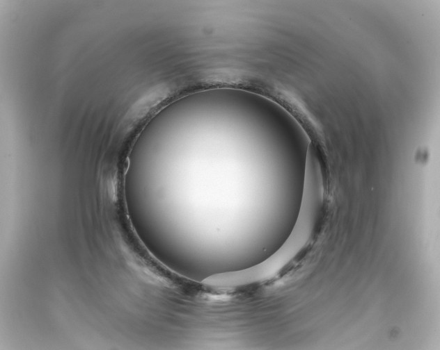 X0000094180068200711021015