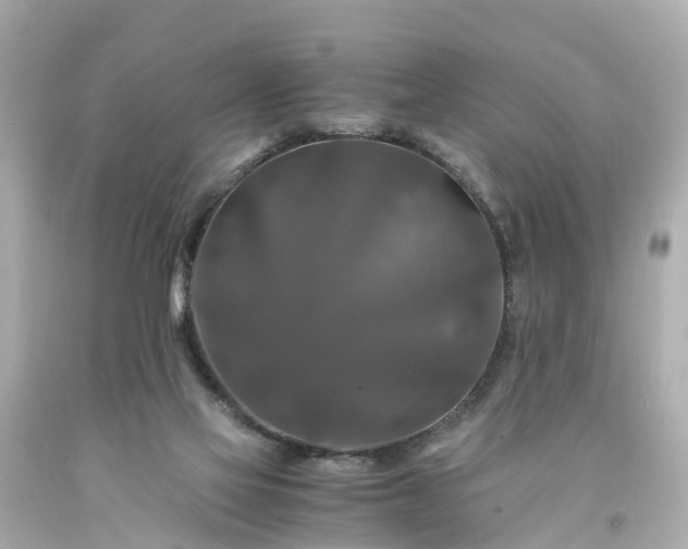 X0000094180069200711021015