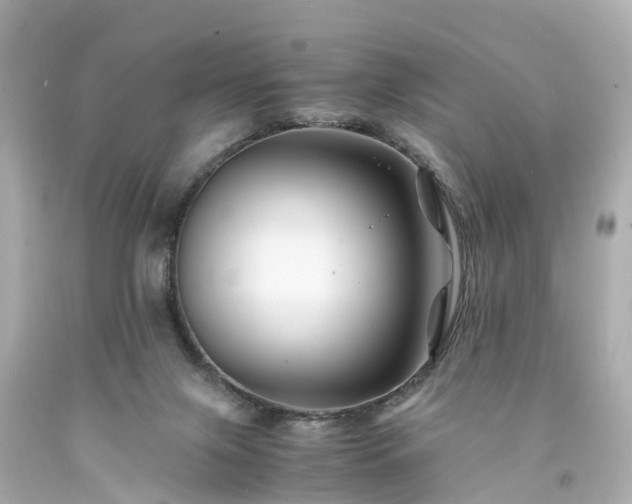 X0000094180071200711021015