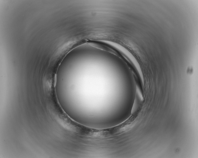 X0000094180072200711021015