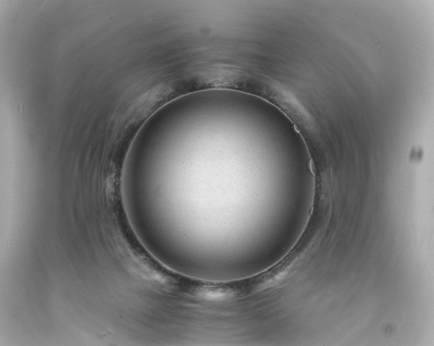 X0000094180073200711021015