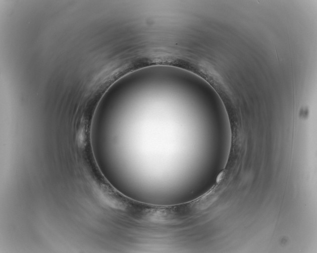 X0000094180074200711021015