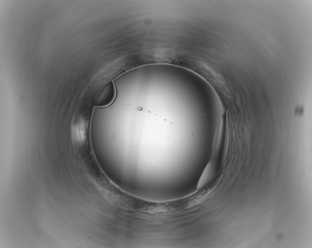 X0000094180075200711021015