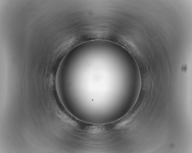 X0000094180077200711021015