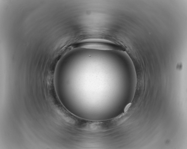 X0000094180078200711021015