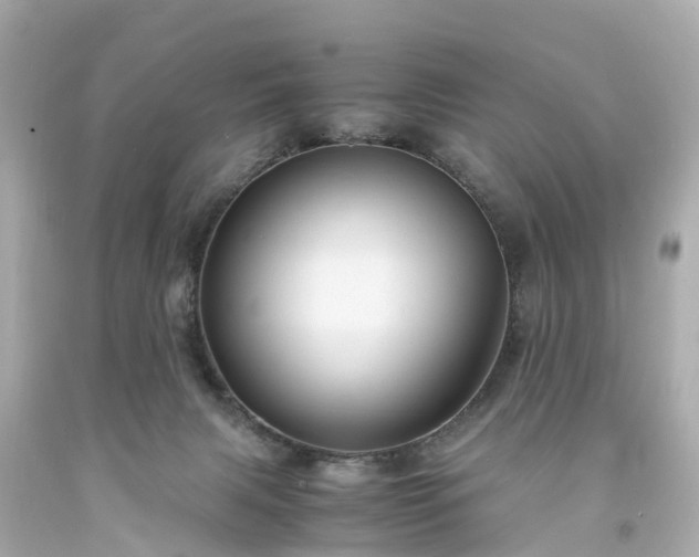 X0000094180079200711021015
