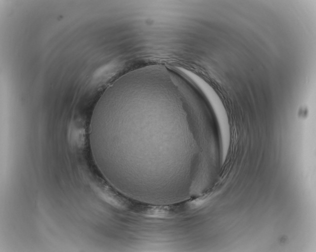 X0000094180080200711021015