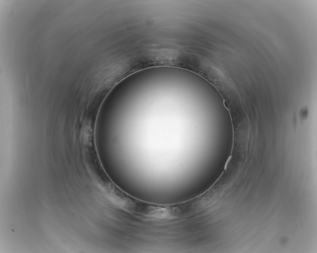 X0000094180083200711021015