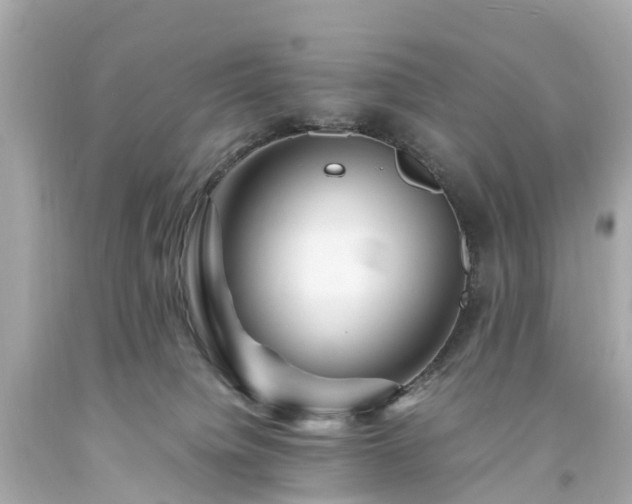 X0000094180084200711021015