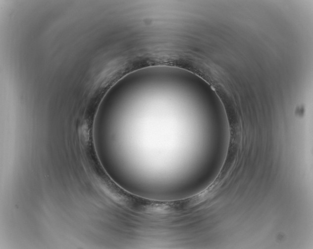 X0000094180086200711021015