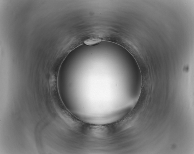 X0000094180087200711021015