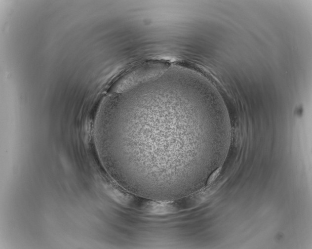 X0000094180093200711021015