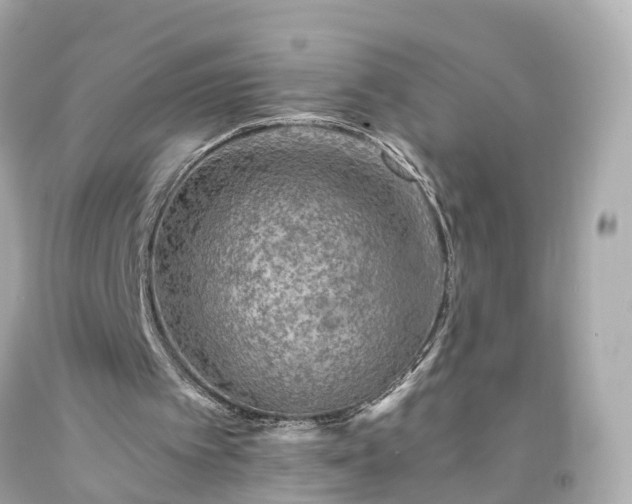 X0000094180097200711021014