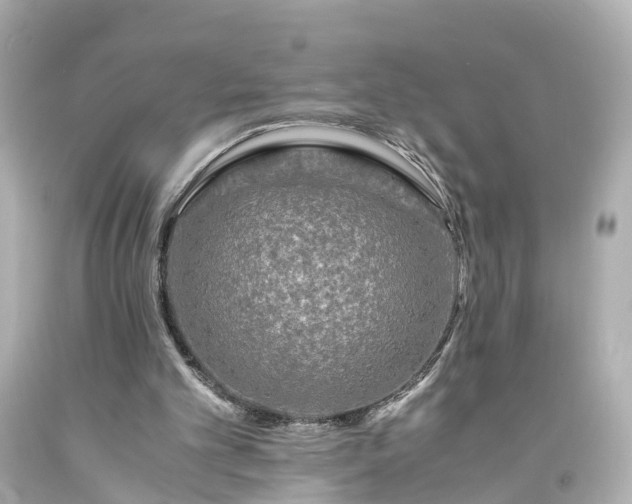 X0000094180101200711021014