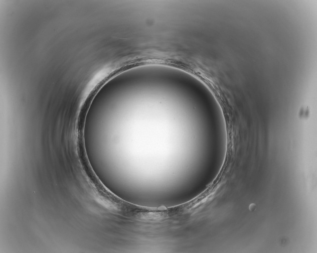X0000094180102200711021014