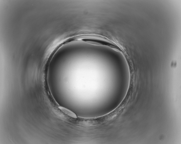 X0000094180103200711021014