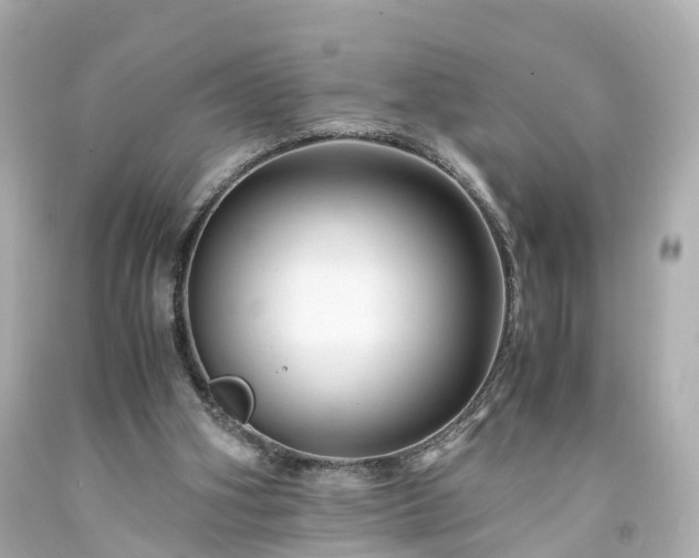 X0000094180106200711021014