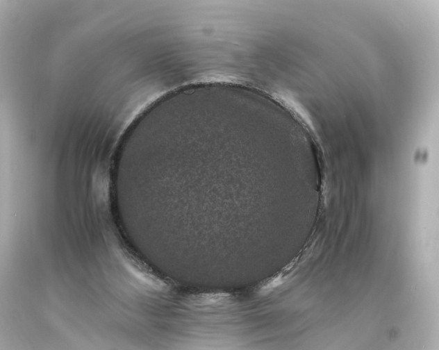 X0000094180108200711021014