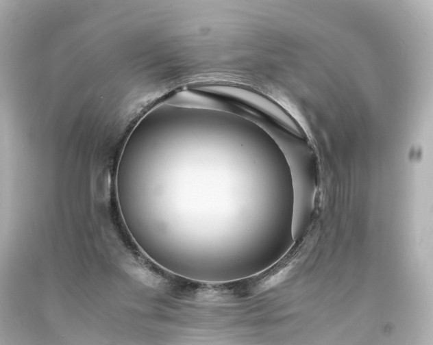 X0000094180109200711021014