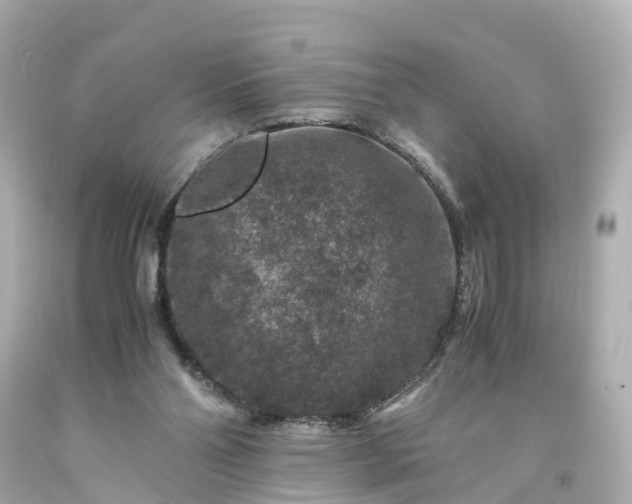 X0000094180110200711021014