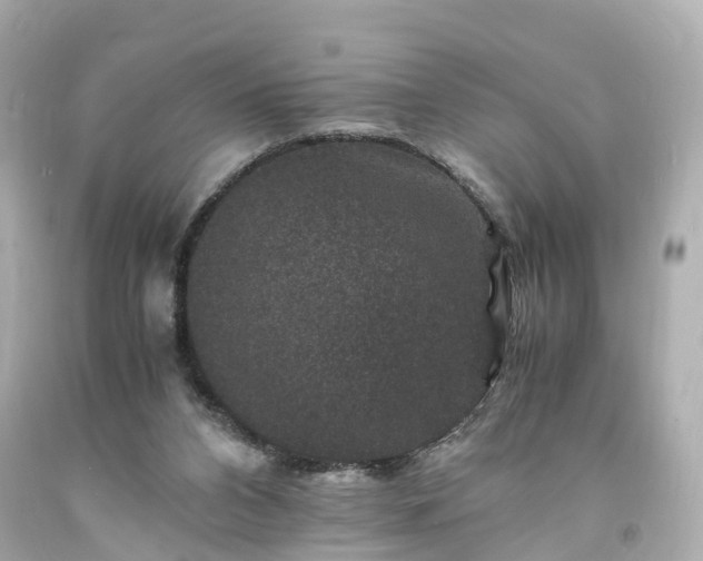X0000094180112200711021014