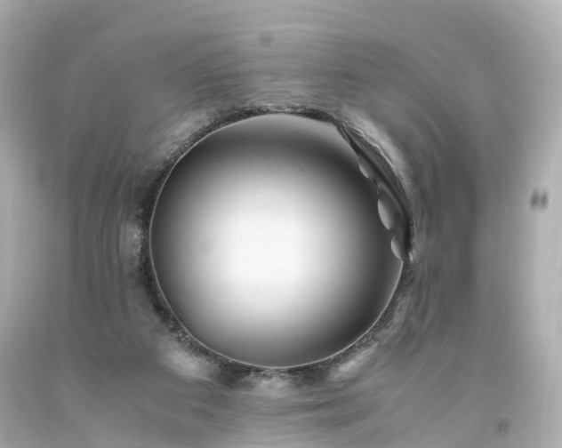 X0000094180113200711021014