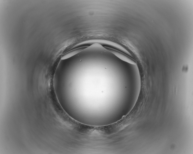 X0000094180115200711021014