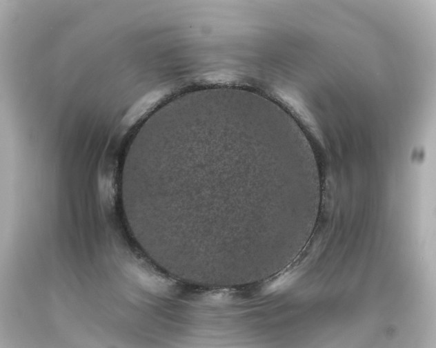 X0000094180116200711021014