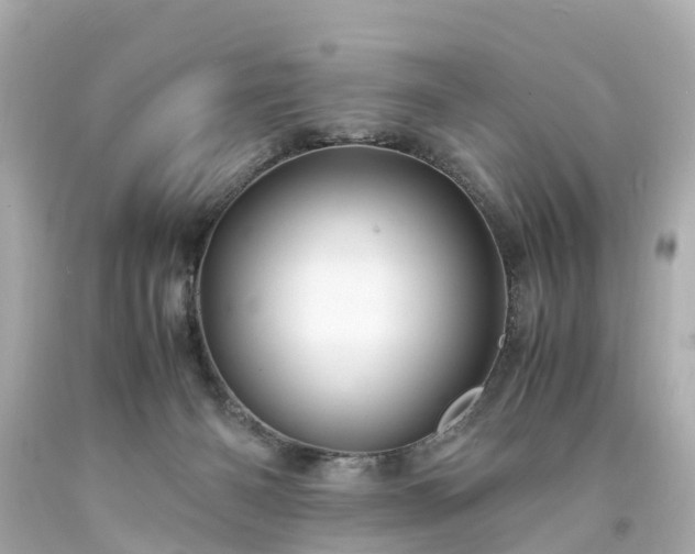 X0000094180126200711021014