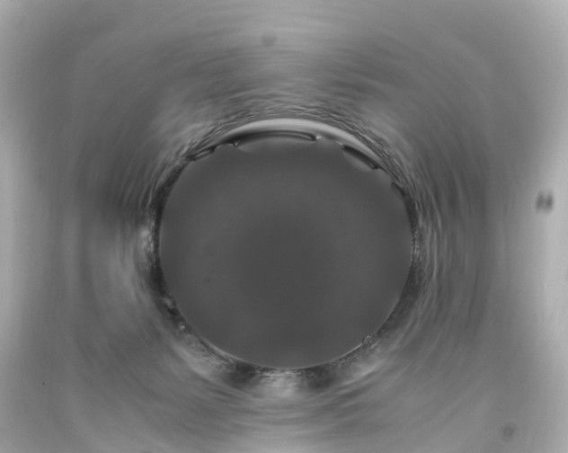 X0000094180127200711021014