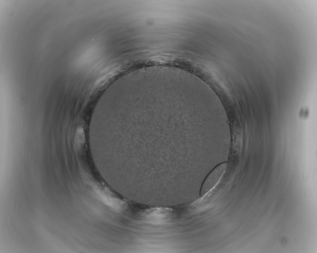 X0000094180128200711021014