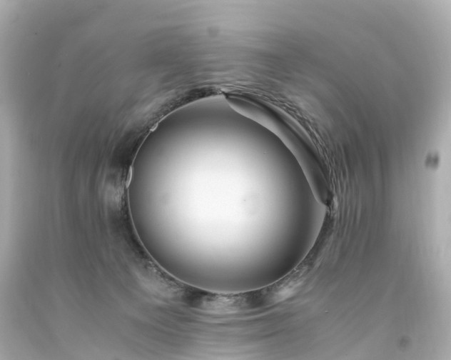X0000094180129200711021014