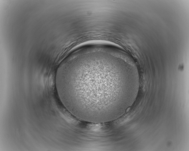X0000094180131200711021014