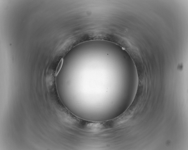 X0000094180133200711021014