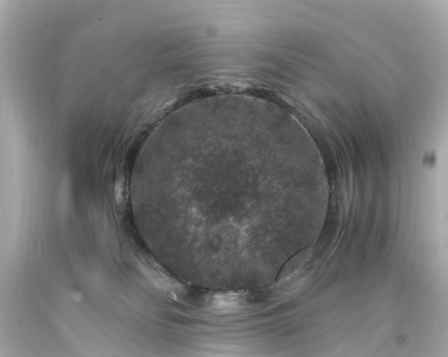 X0000094180134200711021014