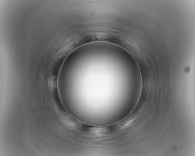 X0000094180135200711021014