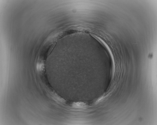 X0000094180137200711021014