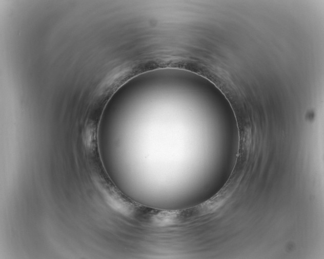 X0000094180138200711021014