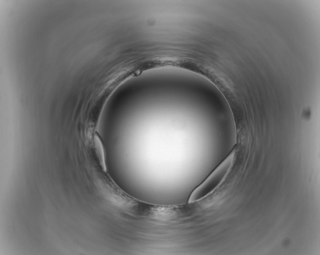 X0000094180141200711021014