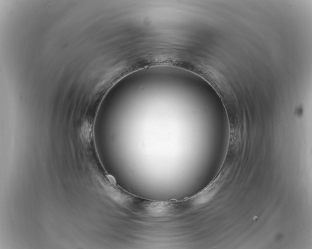 X0000094180142200711021014