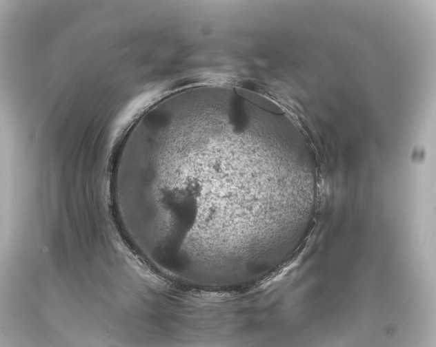 X0000094180149200711021013