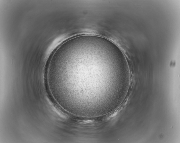 X0000094180151200711021013