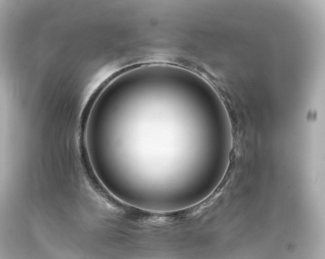 X0000094180152200711021013