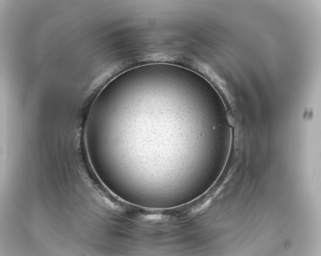 X0000094180153200711021013