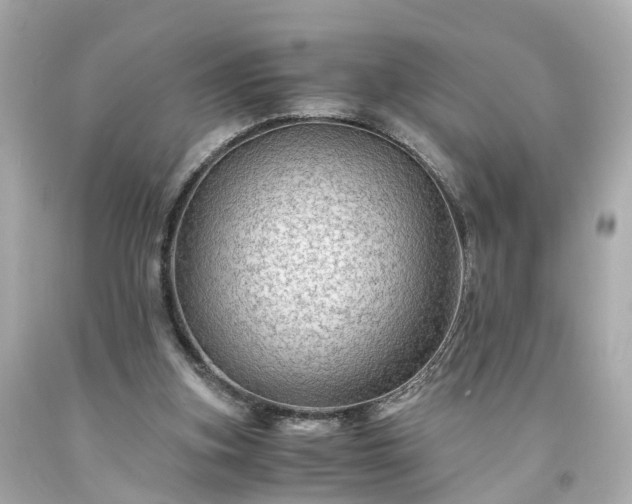 X0000094180155200711021013